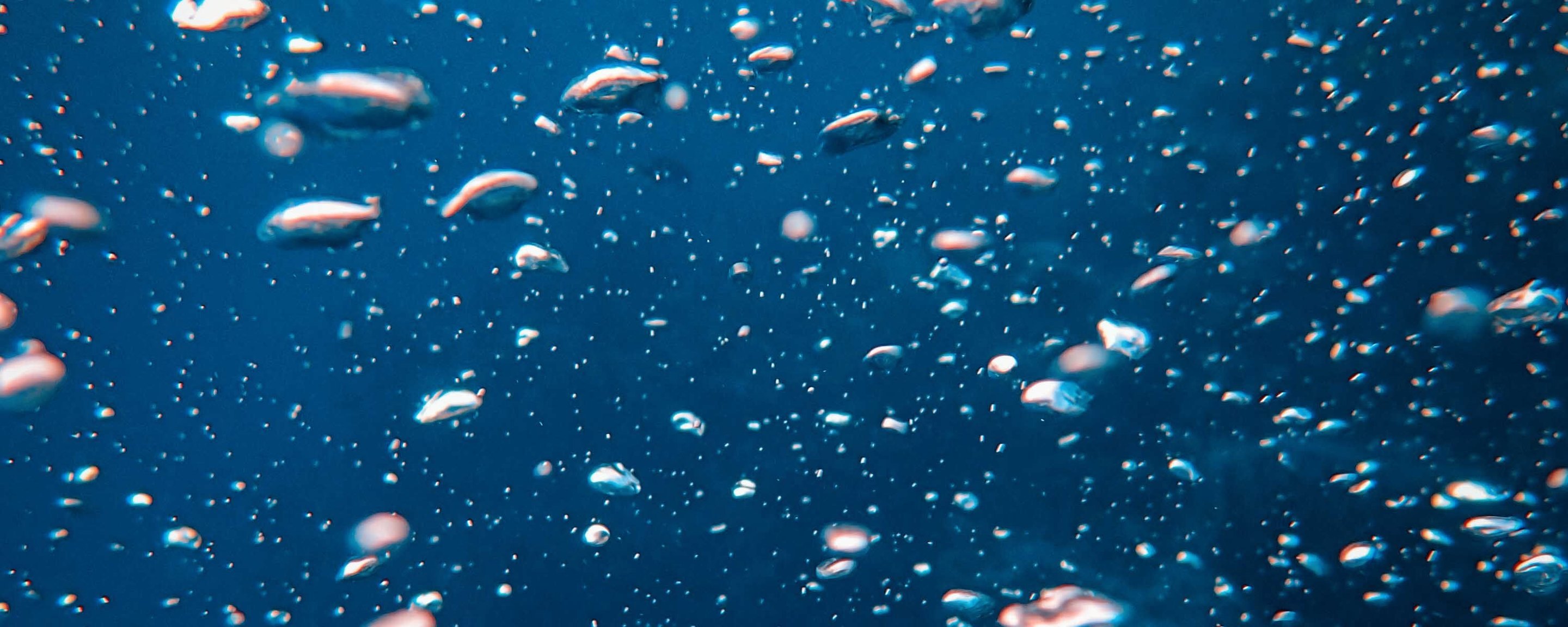 Bubbles rising through deep blue water