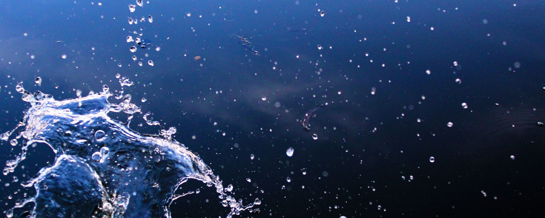 A splash of water breaking against deep navy